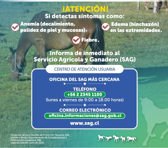 Anemia Infecciosa Equina